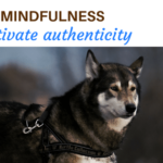 5 ways mindfulness can cultivate authenticity blog your time to grow