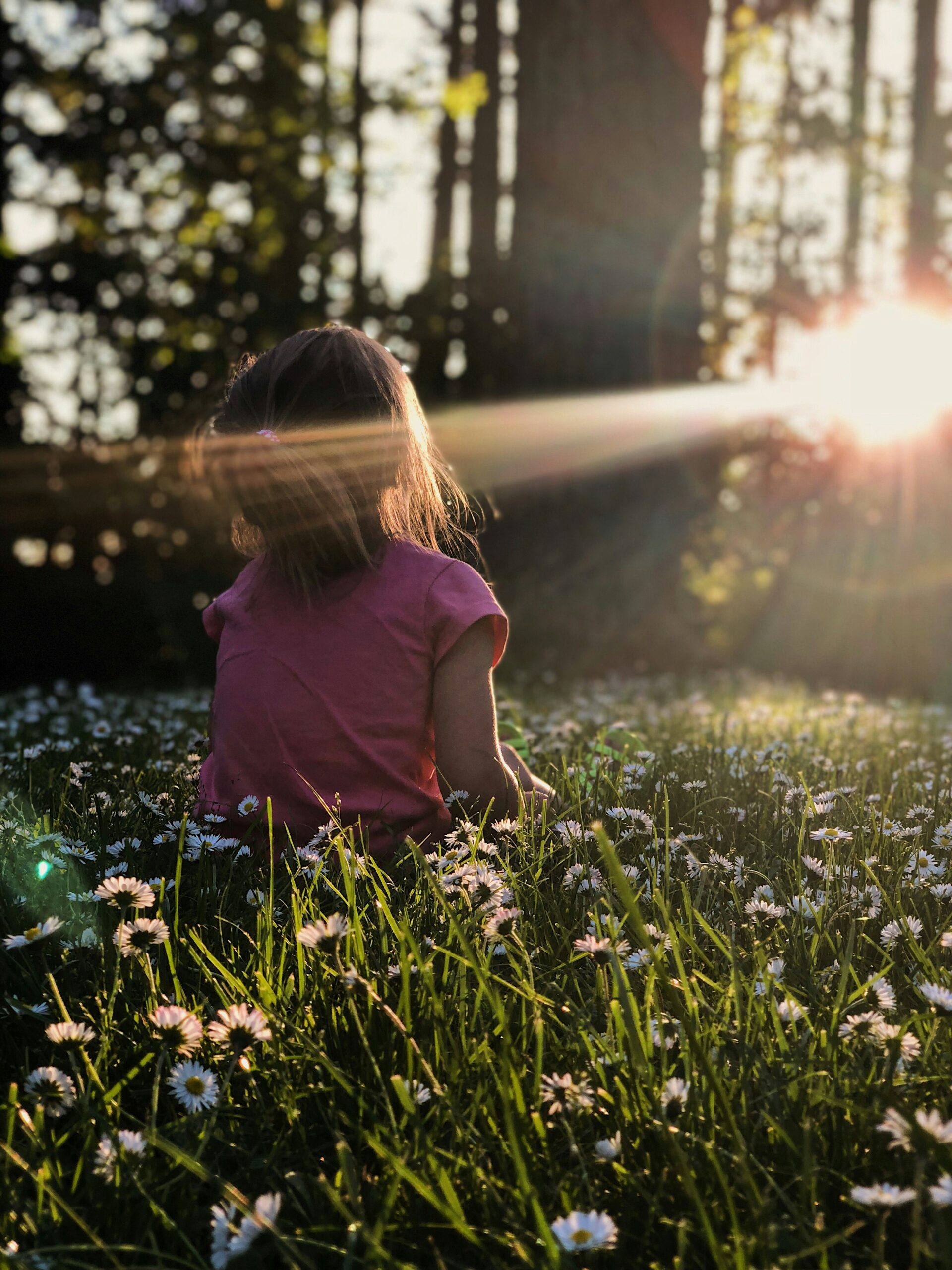 Person sitting quietly in the daisies reflecting on learning to trust yourself