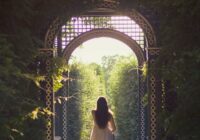 being seen is different to being successful charlotte ashley-roberts your time to grow