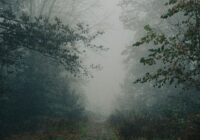 shift your state shift your solutions-unsplash